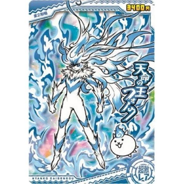 lead-netstore_262504s113ndk26