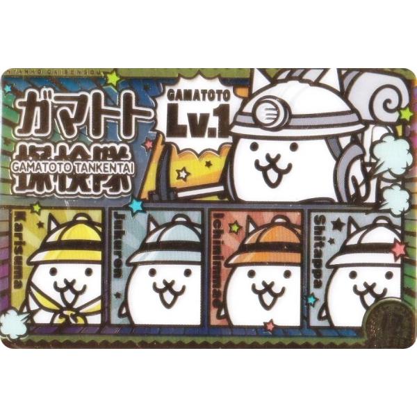 lead-netstore_262504s113ndk30