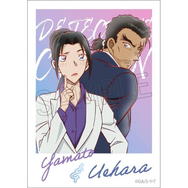 lead-netstore_262506s76emm20