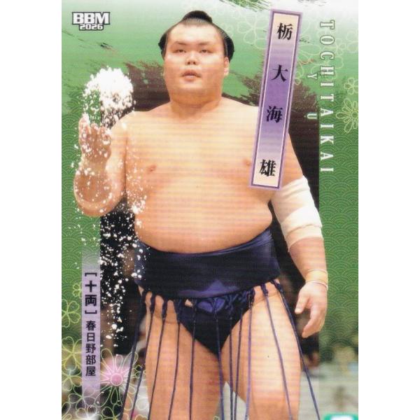 BBM 2026 大相撲カード 52 栃大海 雄 十両 (レギュラーカード)