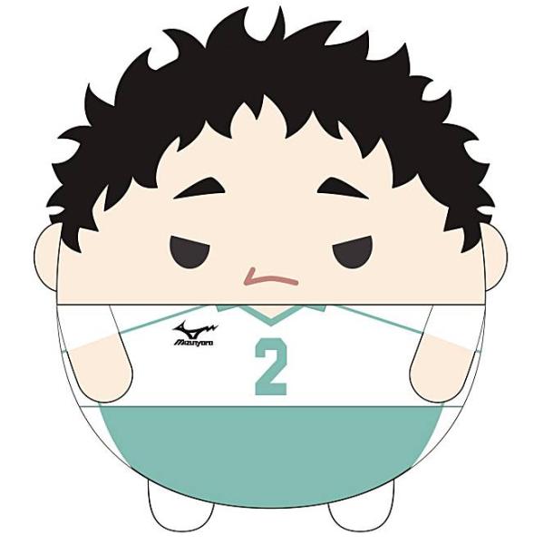 ハイキュー ふわコロりん 影山飛雄 まとめ売り 16点セット Amazon.co.jp: ハイキュー!! ふわコロりんBIG10 A：影山 飛雄 : おもちゃ