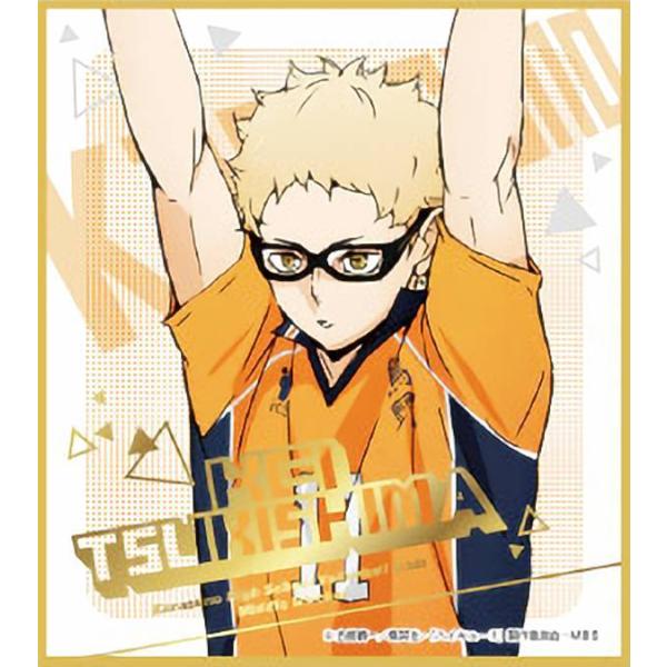 月島蛍】 ハイキュー!! ビジュアル色紙コレクション6 : トレカショップ