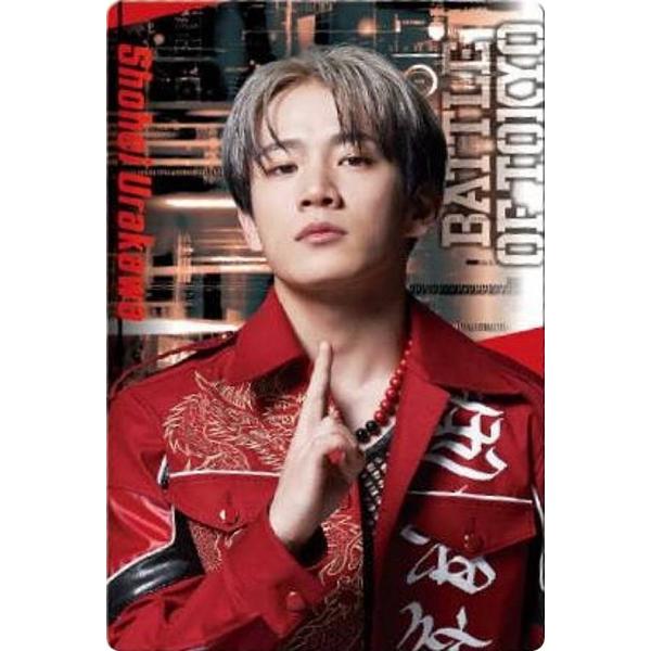 lead-netstore_282310s150tok17