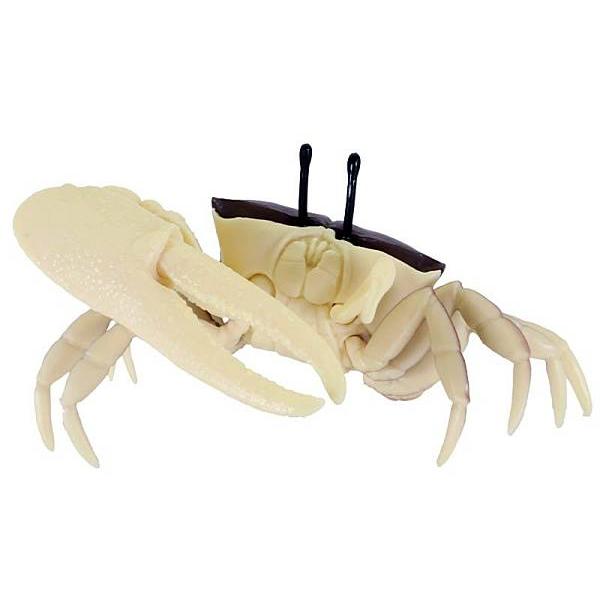 シオマネキ】あそべる生物フィギュアシリーズ みずべのなかま 自然に