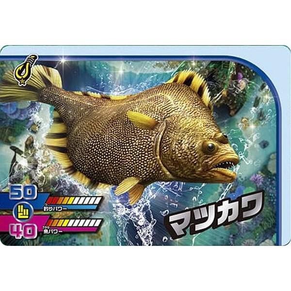 2-17 マツカワ (N ノーマル) 】カードダス 釣りスピリッツ ワンダーVol