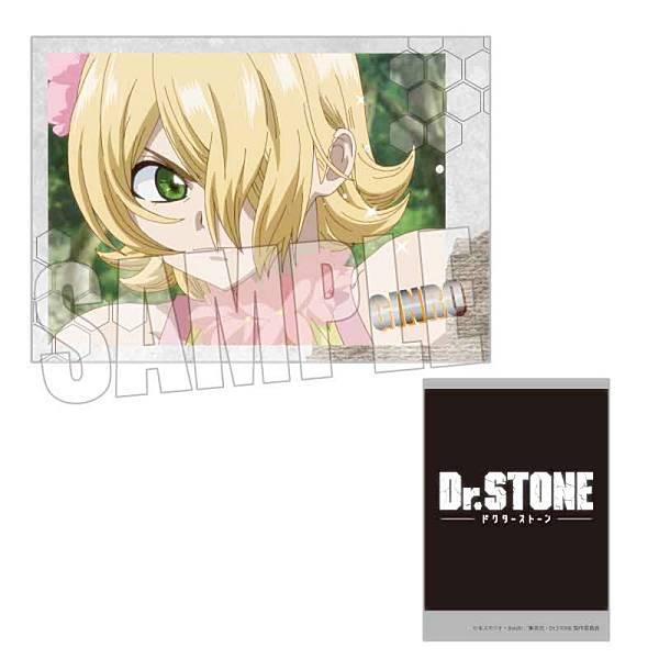 Dr.STONE 銀狼 JF限定 銀狼】 コレクションカード Dr.STONE : トレカショップ LEAD. - 通販