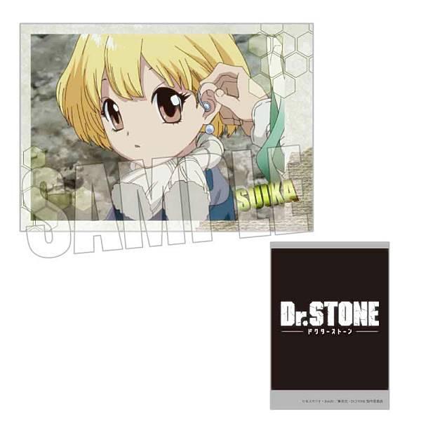 スイカB】 コレクションカード Dr.STONE : トレカショップ LEAD