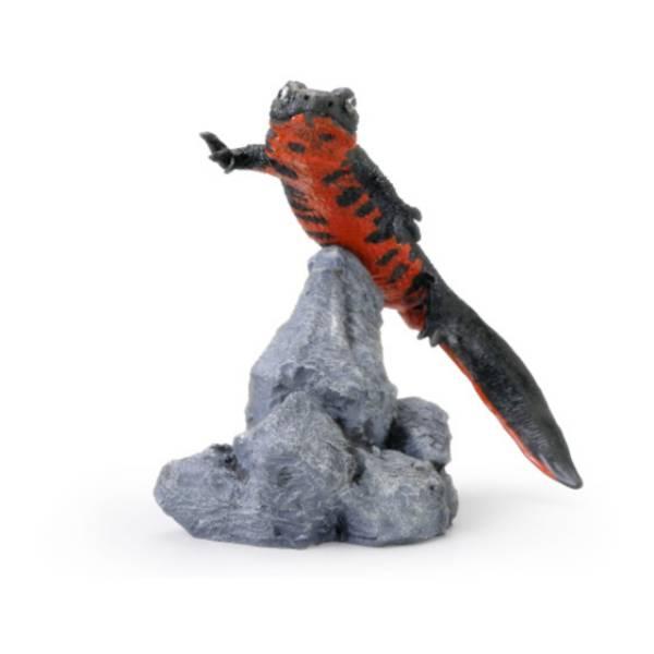 極美品【1点物】アカハライモリ② 8-9cm 50ml 両生類）一点物 アカハライモリ 八丈島産 WC セレクト個体