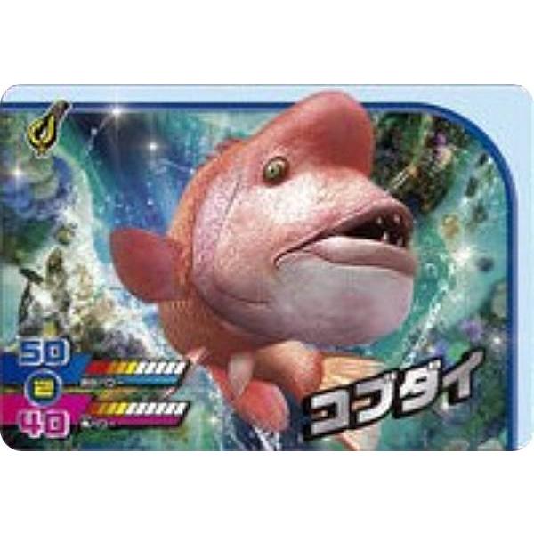 1-18 コブダイ (N ノーマル) 】カードダス 釣りスピリッツ ワンダー