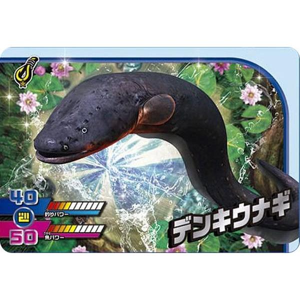 1-25 デンキウナギ (N ノーマル) 】カードダス 釣りスピリッツ