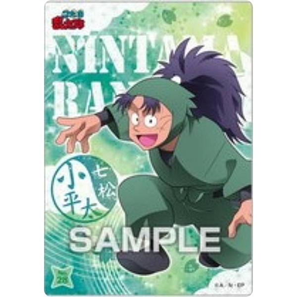 lead-netstore_302410s76nrk28