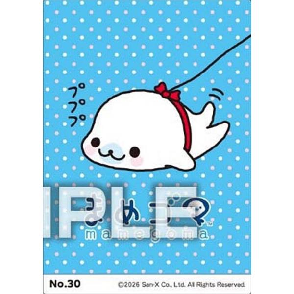 lead-netstore_312603s76xyk30