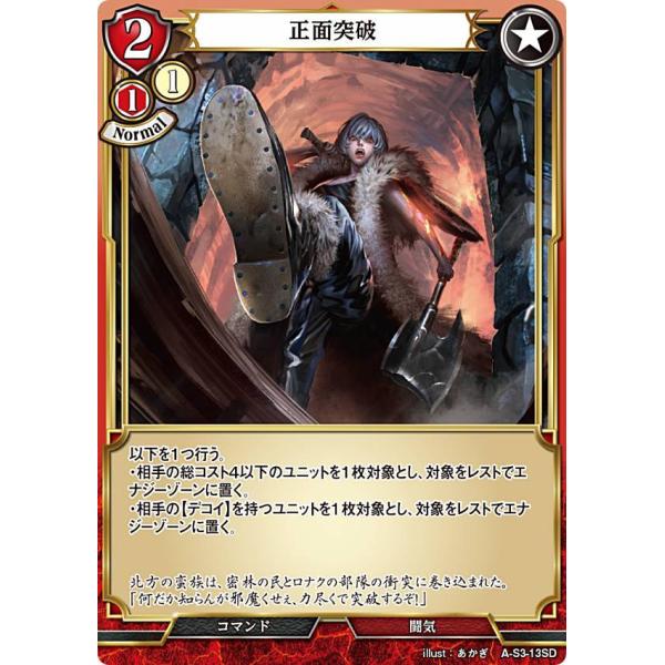 lead-netstore_as3sd312203tt013