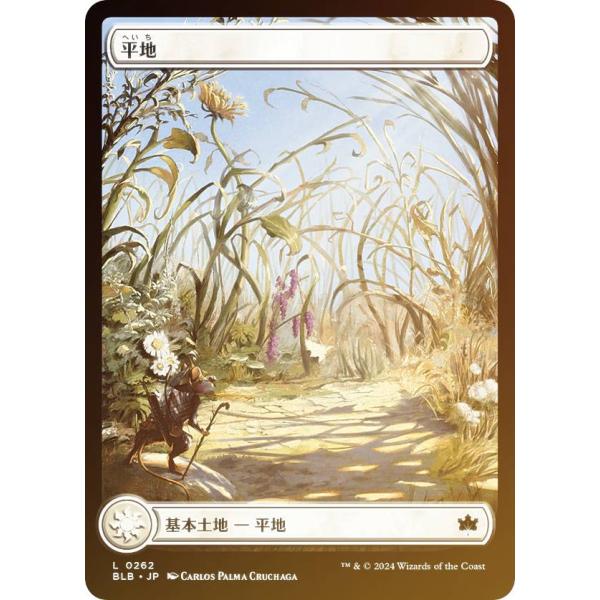 FOIL】マジックザギャザリング BLB JP 0262 平地 (日本語版 基本土地