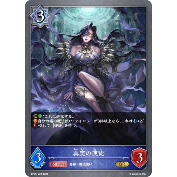 シャドウバース エボルヴ エイラの祈祷 限定 スリーブ 67枚 シャドウバース エボルヴ エイラの祈祷 限定 スリーブ 67枚