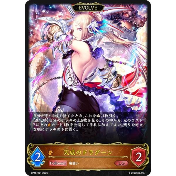 lead-netstore_bp15112504mr061