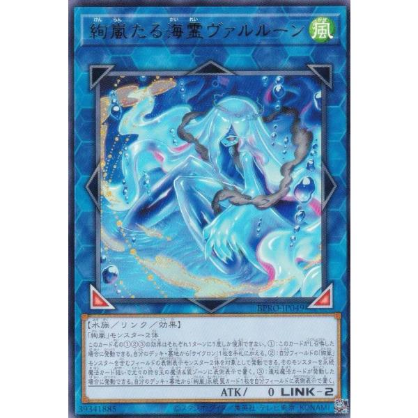 lead-netstore_bpro252510tt049