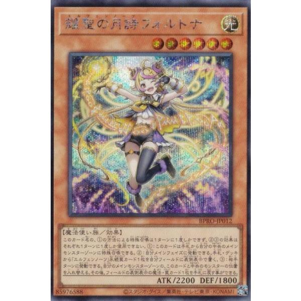 lead-netstore_bpro252510tts012