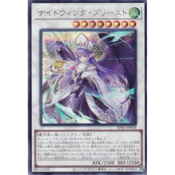 lead-netstore_bpro252510tts038