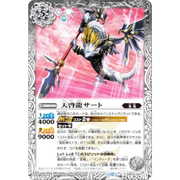 lead-netstore_bs74222511tt047