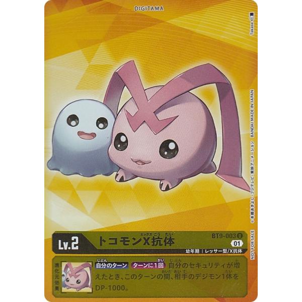 lead-netstore_bt9dig242202ttp003