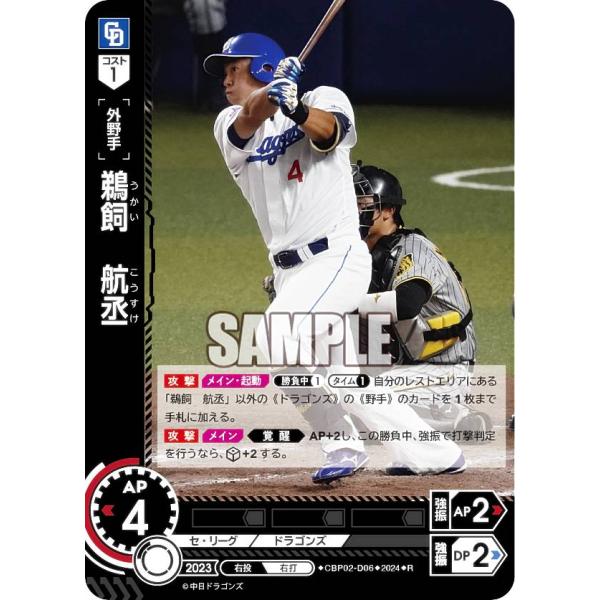 中日ドラゴンズ トレーディングカード NO.002 cardya2_zb2007-d-r042