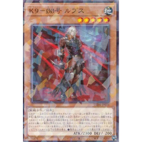 lead-netstore_dbjh222503ttp034