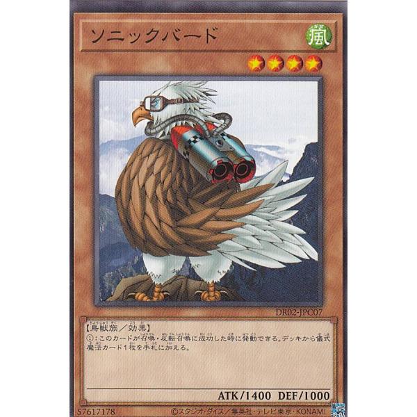 lead-netstore_dr03292204ttc007