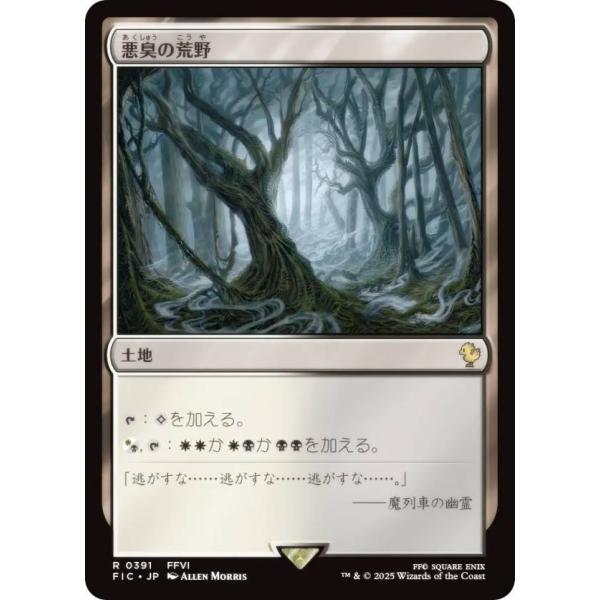マジック：ザ・ギャザリング 吹きさらしの荒野 日本語版 吹きさらしの荒野/WINDSWEPT HEATH 商品検索 | ドラゴンスター