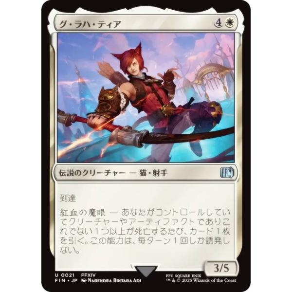 lead-netstore_finjp132506tt021