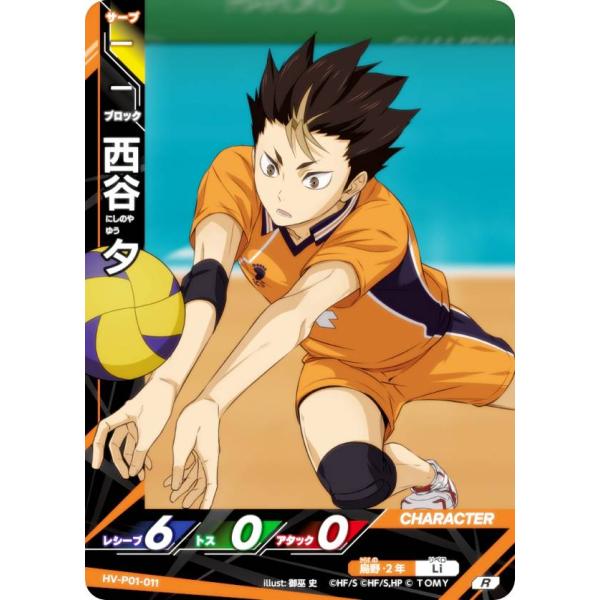 lead-netstore_hvp01252510tt011