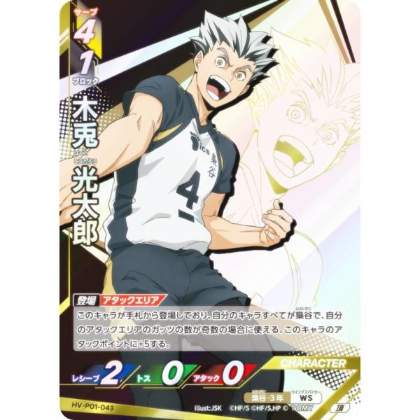 ハイキュー バボカ 頂 lead-netstore_hvp01252510tt043