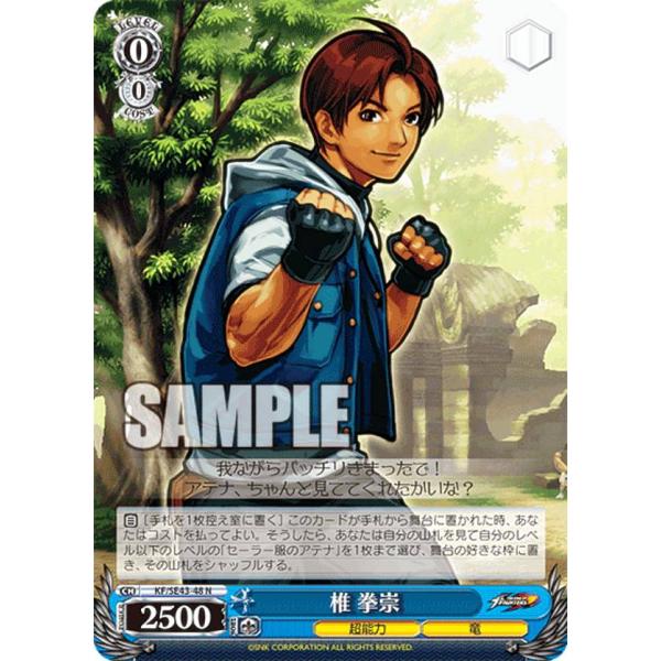 カ*ゲ様 ヴァイスシュヴァルツ トレーディングカードセット lead-netstore_kfse43202309hk048