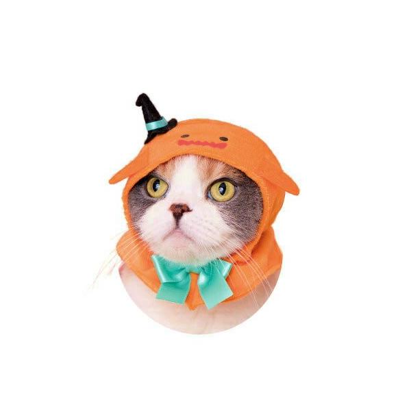 おばけ】かわいいかわいい ねこハロウィンちゃん -パーティーカラー