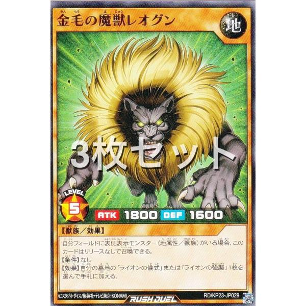 lead-netstore_kp23rd292511mr3s029
