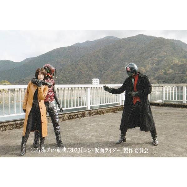 14.ルリ子がつかまった】 シン・仮面ライダーチップス : トレカ