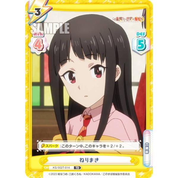 lead-netstore_ks2t132310tt014