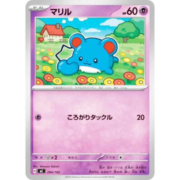 lead-netstore_mc192512tt294