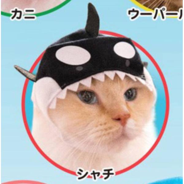 シャチ かわいい かわいい ねこの水族館2 Dejapan Bid And Buy Japan With 0 Commission