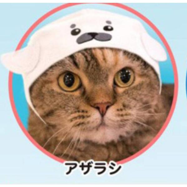 アザラシ かわいい かわいい ねこの水族館2 Dejapan Bid And Buy Japan With 0 Commission