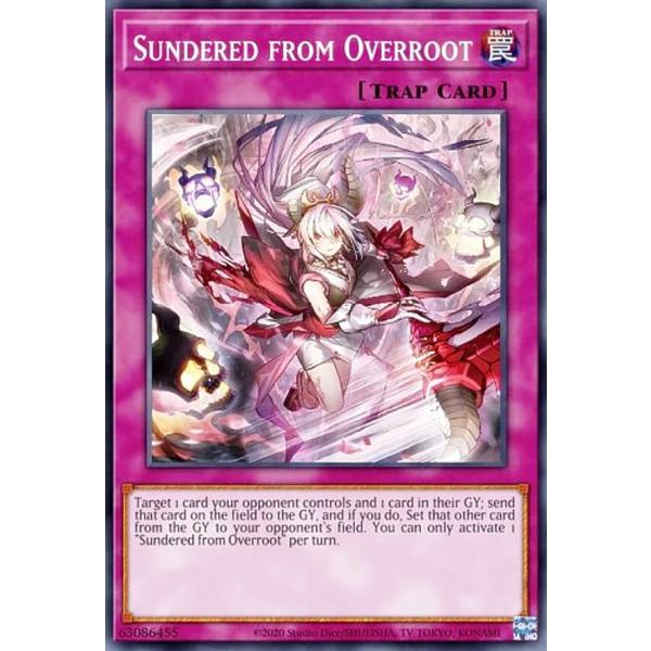 遊戯王カードセット 遊戯王 POTE-EN078 現世離レ Terrors of the Overroot (英語版 1st