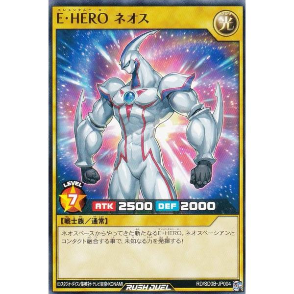 lead-netstore_rdsd0b132407tt004