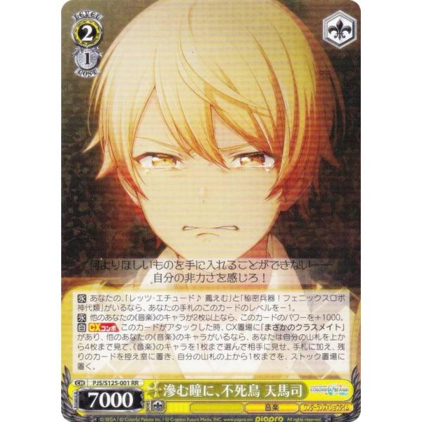 lead-netstore_s125bs262512mr001