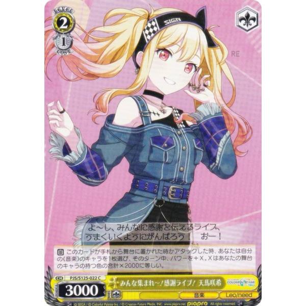 lead-netstore_s125bs262512mr022