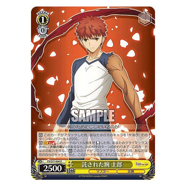 lead-netstore_s77bs062012tt004