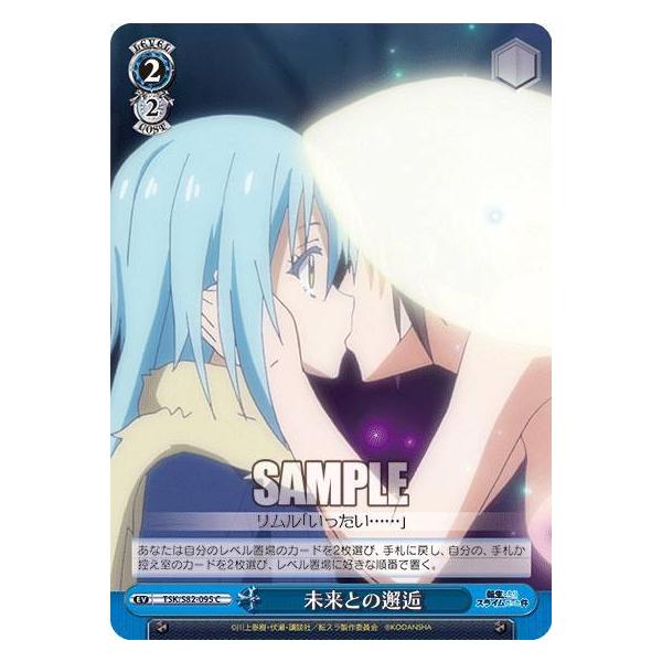 lead-netstore_s82252103tt095