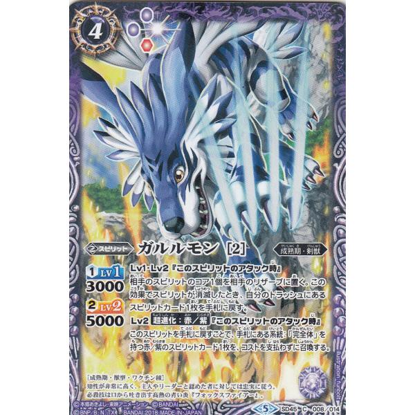 lead-netstore_sd45bsplay009