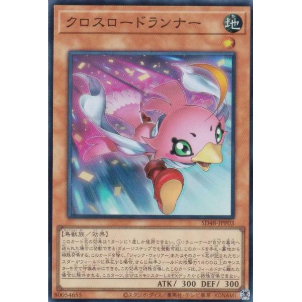 lead-netstore_sd48062509ttp003