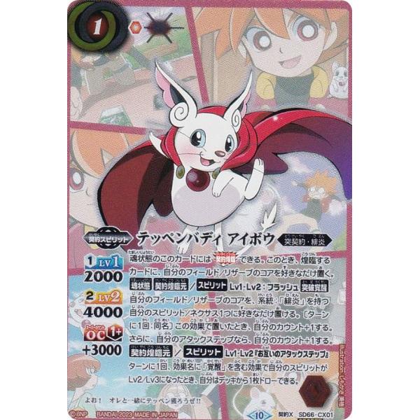 lead-netstore_sd66bs212309ttsc015