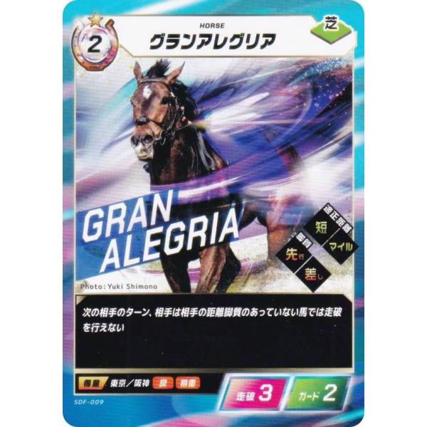 FORCE OF THE HORSE フォースオブザホース イクイノックス　2枚 FORCE OF THE HORSE フォースオブザホース イクイノックス 2枚